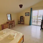 公寓 Sea And Salt Panoramic View 拉纳卡