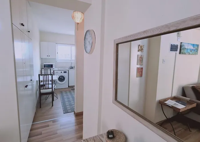 Sea And Salt Panoramic View Λάρνακα